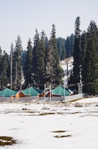 Several small cabins with green roofs are nestled amongst tall evergreen trees in a snowy landscape. The cabins are surrounded by a fence, and snow covers the ground, with patches of bare earth visible.