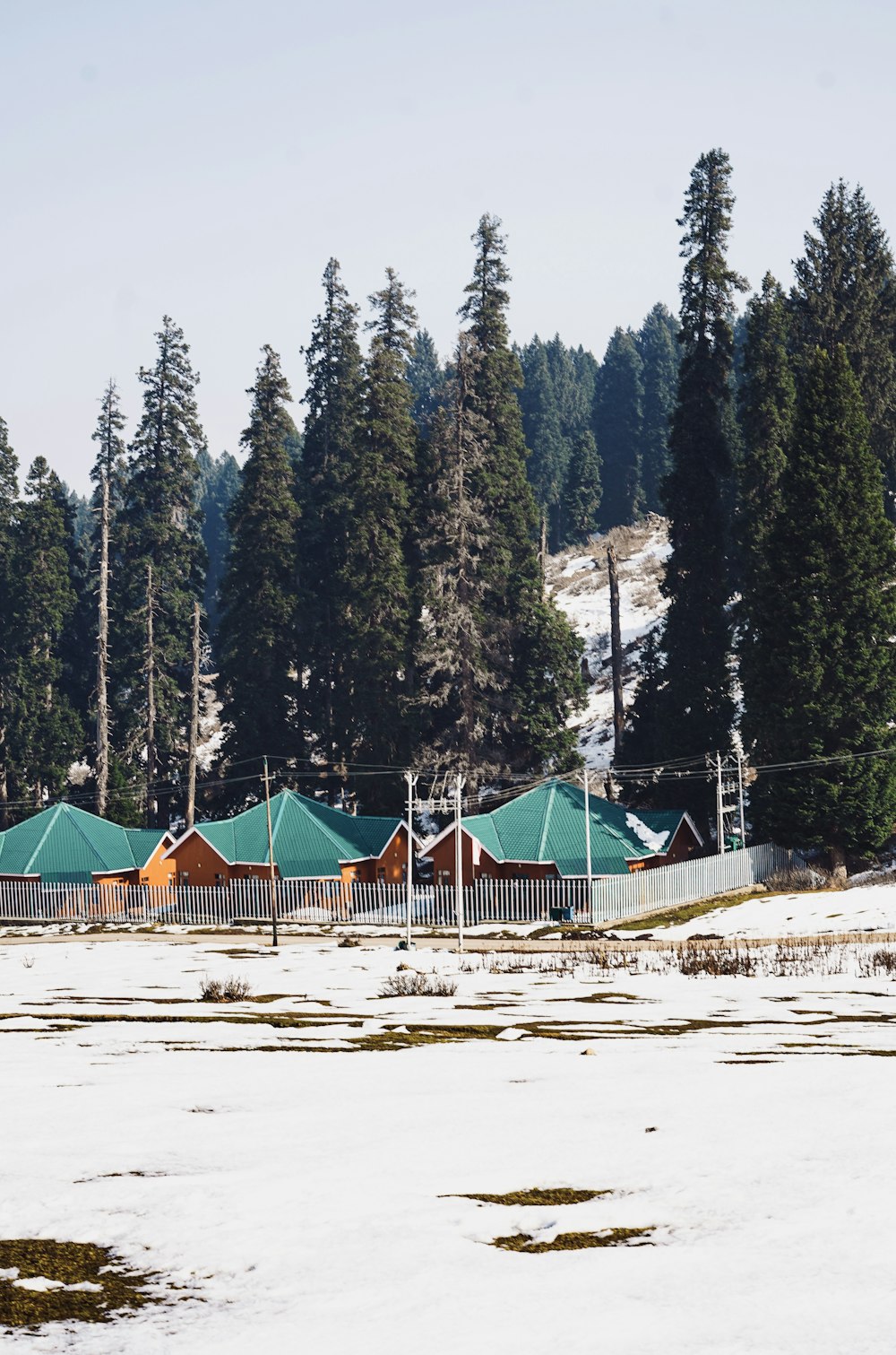 a group of buildings with trees in the back