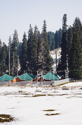 Several small cabins with green roofs are nestled amongst tall evergreen trees in a snowy landscape. The cabins are surrounded by a fence, and snow covers the ground, with patches of bare earth visible.