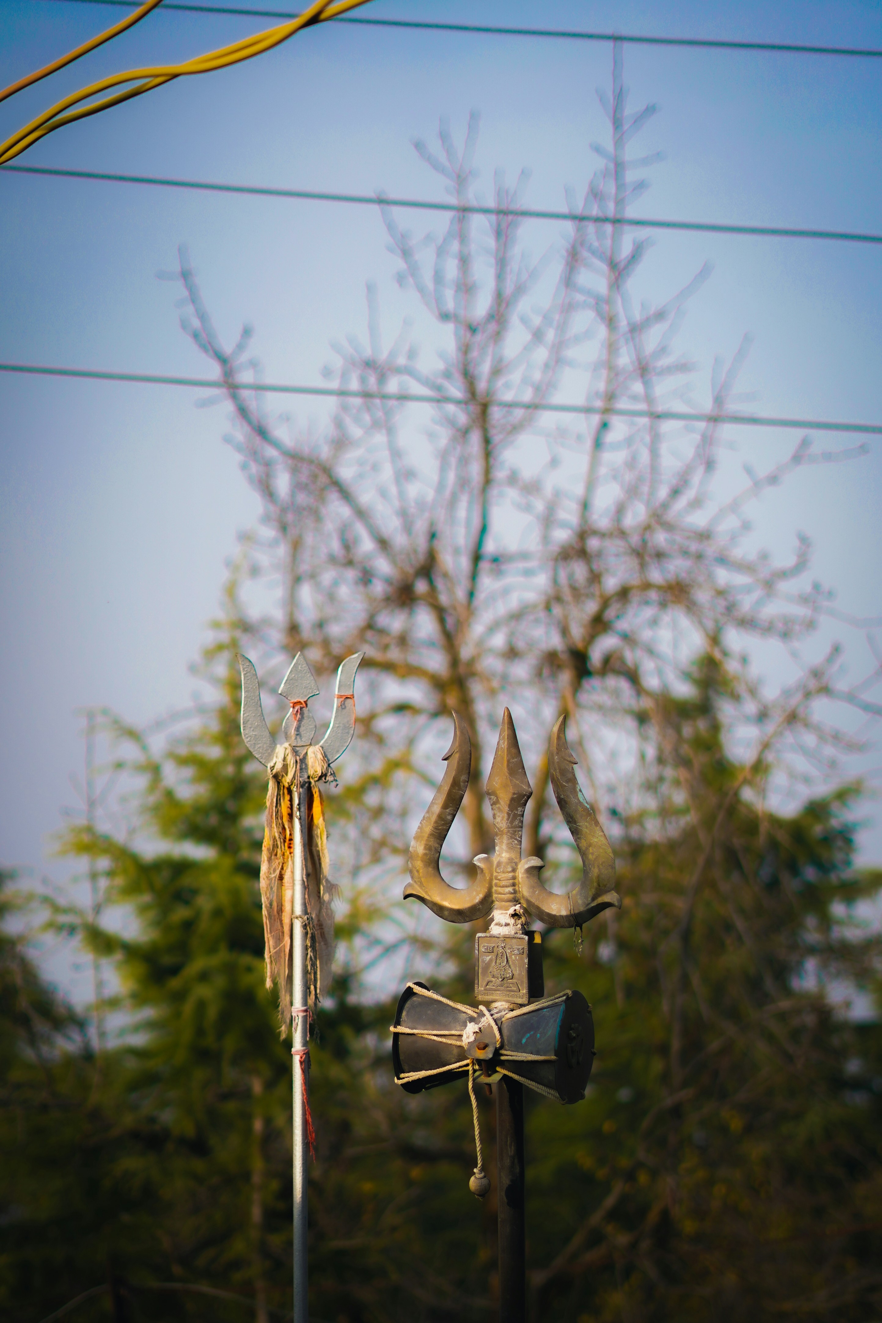 a power line with a tree in the background