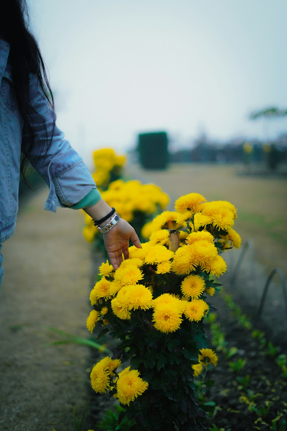 a person holding a yellow flower
