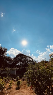 An aerial shot capturing the entire Sri Vaari Garden property bathed in warm sunlight.