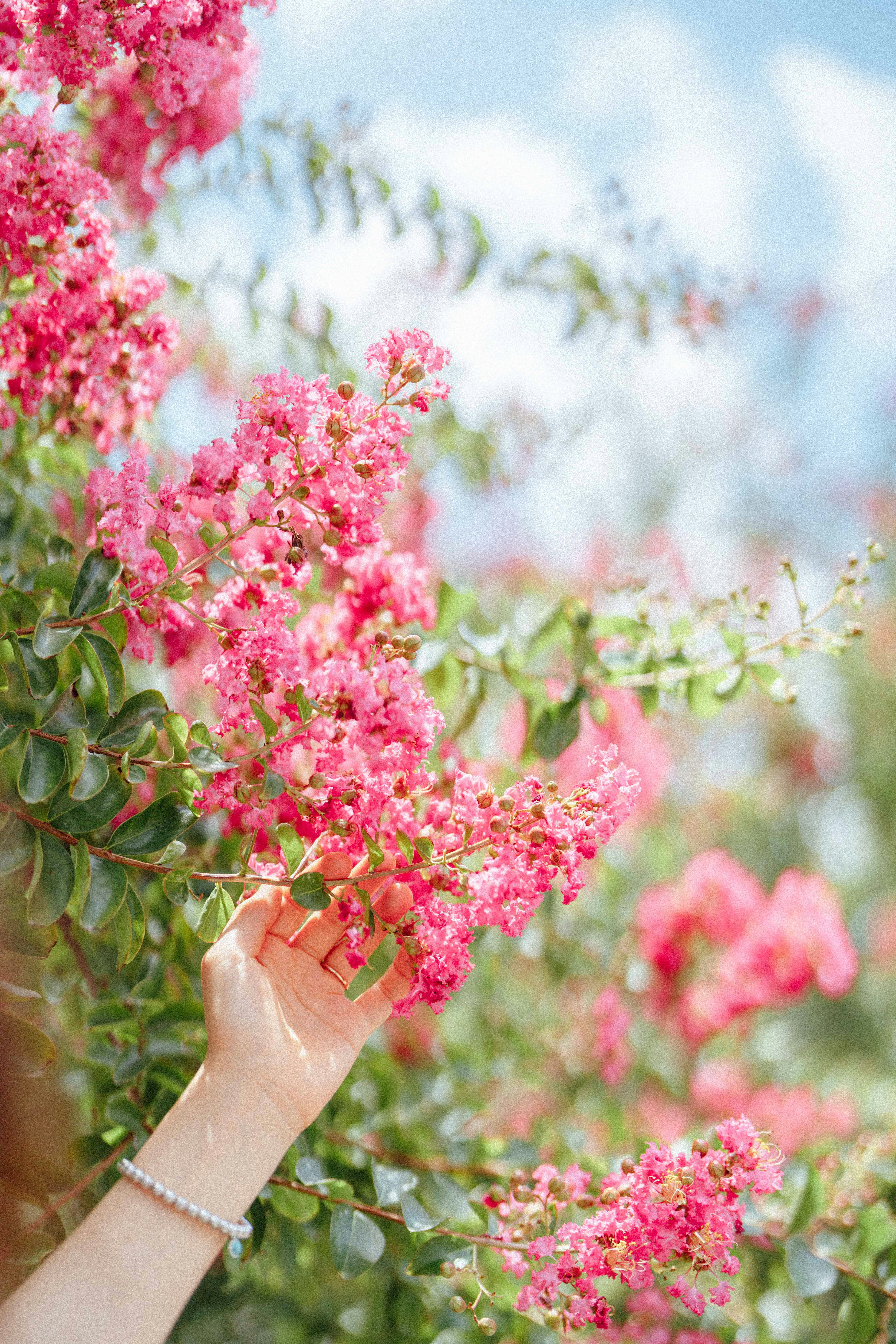 Photo by asiaculturecenter