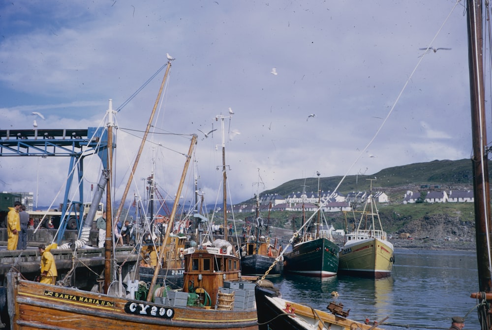 Un grupo de barcos se sientan en un puerto