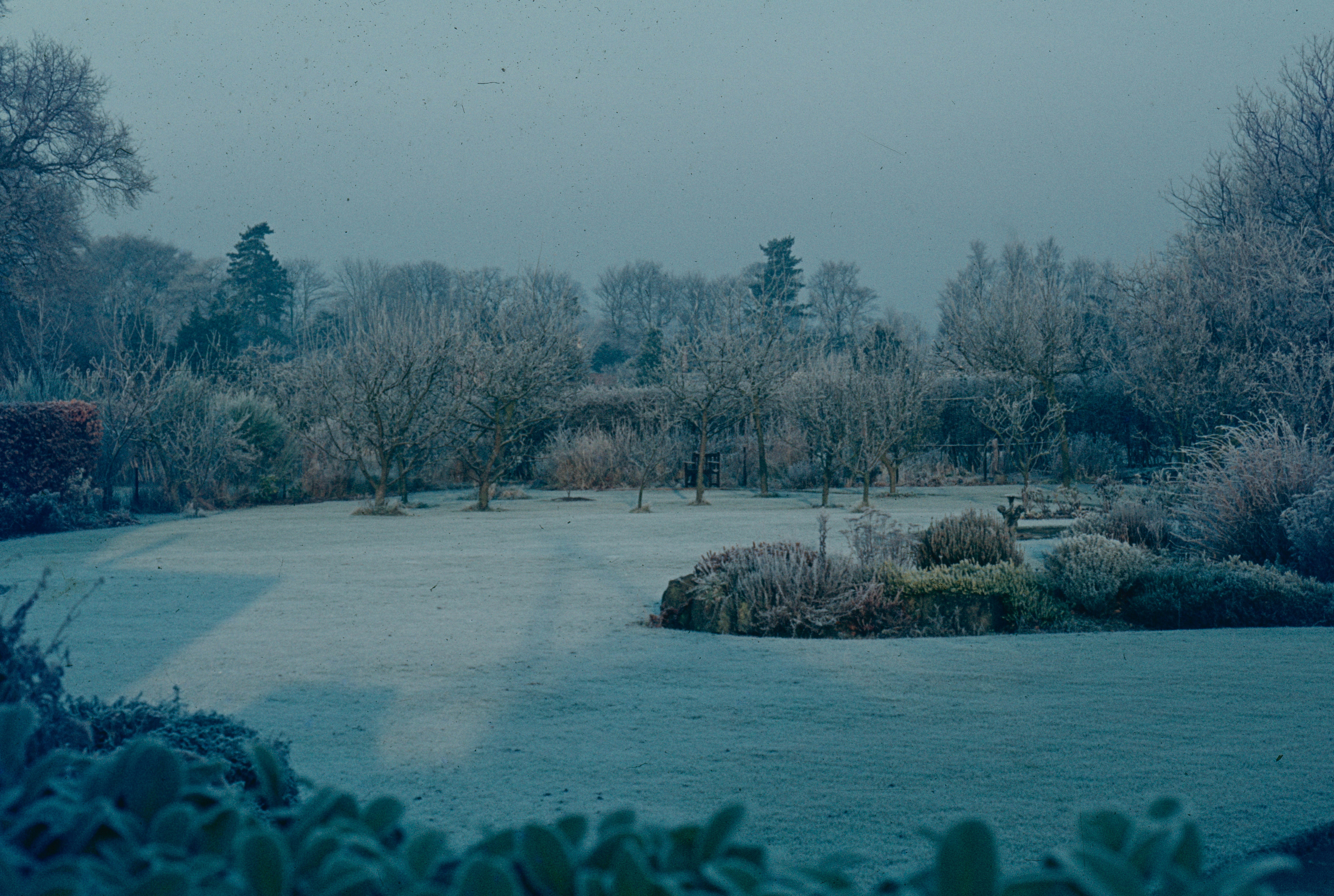 Jak ochránit svou zahradu před nočními mrazy: Tajemství s kolíčky
