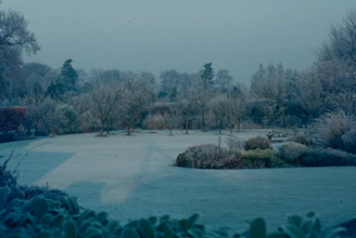Winter protective cover over a dormant lawn, shielding it from frost in the Plovdiv region.