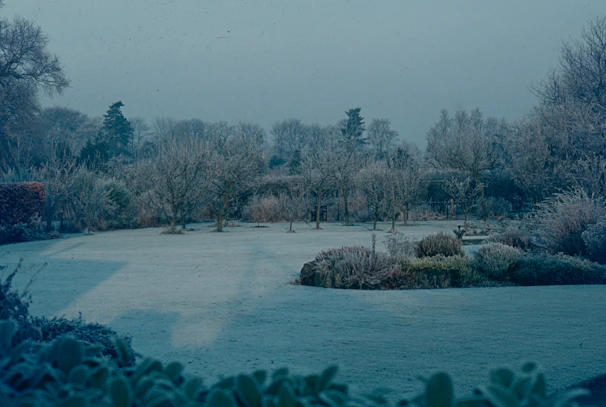Winter protective cover over a dormant lawn, shielding it from frost in the Plovdiv region.
