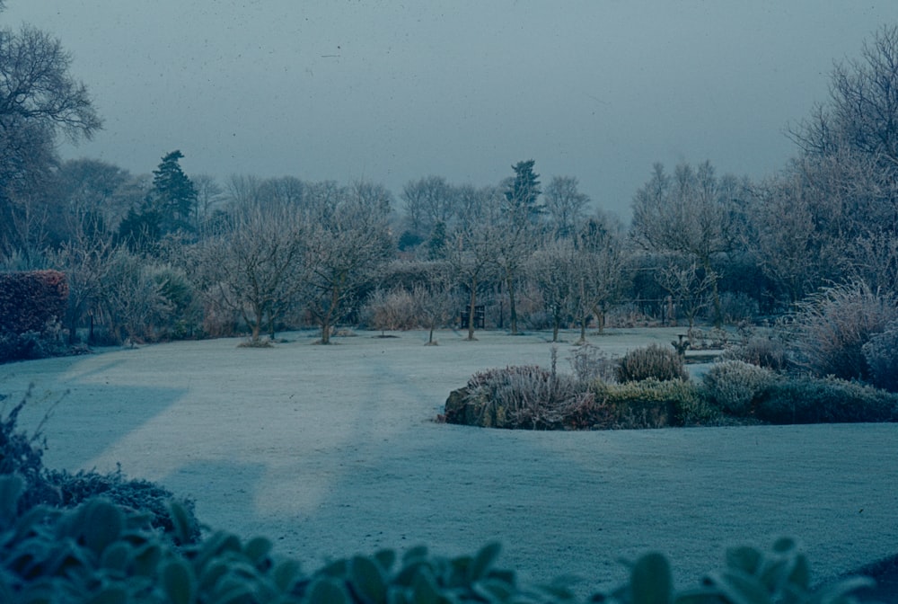 a river with snow on the banks