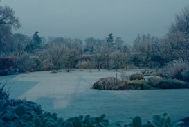 A frosty garden landscape with trees and shrubs lightly covered with frost. The grass appears pale, and the vegetation has a wintery, dormant look. The sky is overcast, contributing to a muted atmosphere.