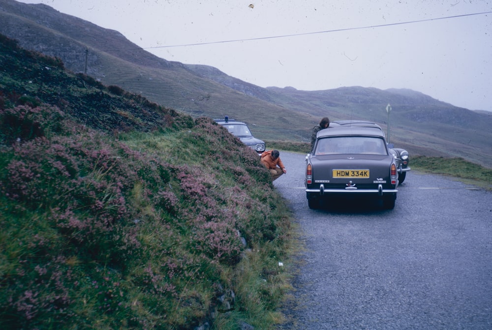 a car on a road with a dog on the side