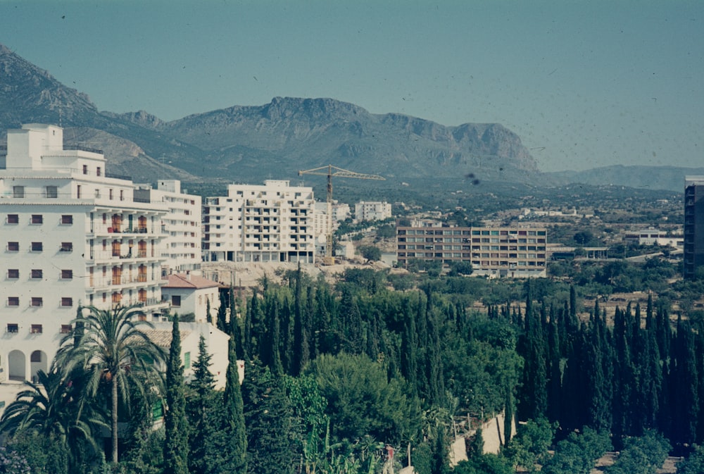 a city with trees and mountains in the background