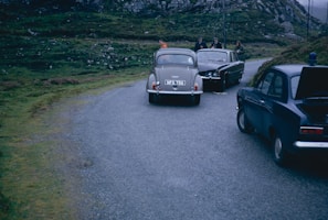 A winding rural road with three vintage cars, including a police vehicle. Two individuals stand near the vehicles, one gesturing, possibly interacting with law enforcement. The scene includes grassy hills and rocky slopes, indicating a remote or countryside area.
