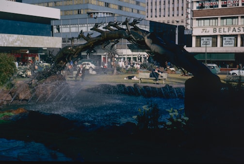 A public square features a water fountain with a sculpture resembling a tree or a series of branches arcing over the flowing water. Surrounding the fountain are green spaces with people relaxing on benches and grass. In the background, mid-century modern buildings with large glass windows and signs are visible, adding to the urban atmosphere.