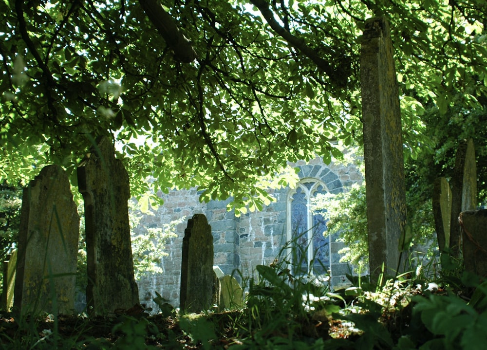 a stone building with trees around it