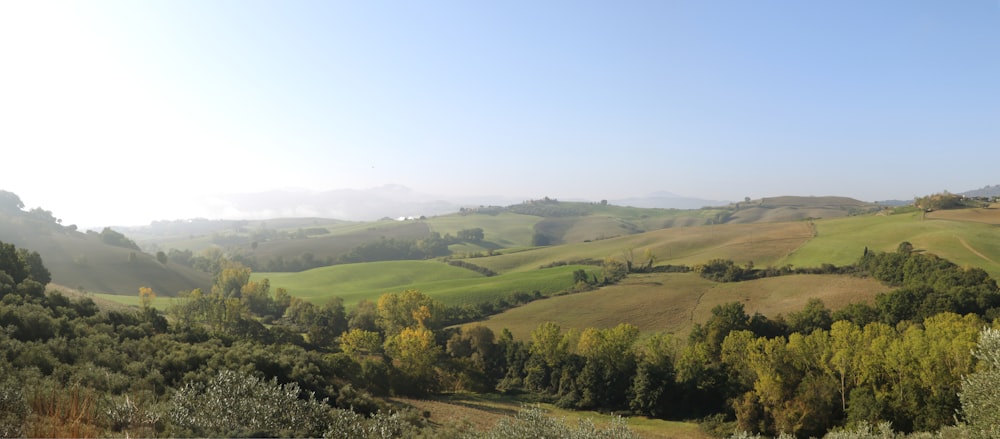 a landscape with trees and hills