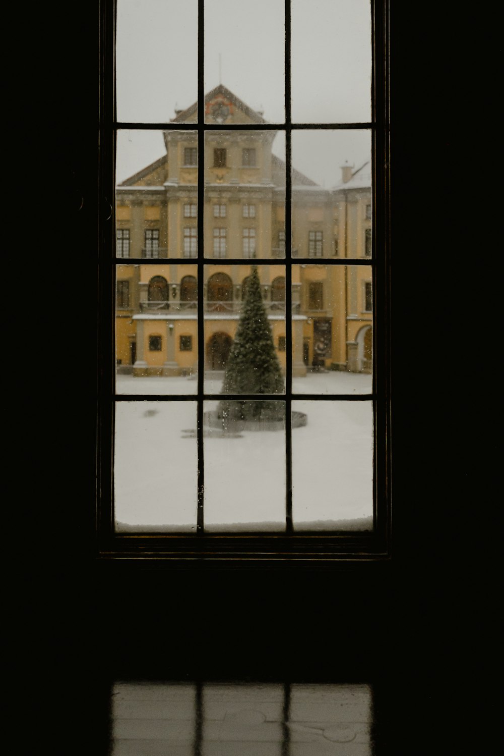 a window with a tree outside