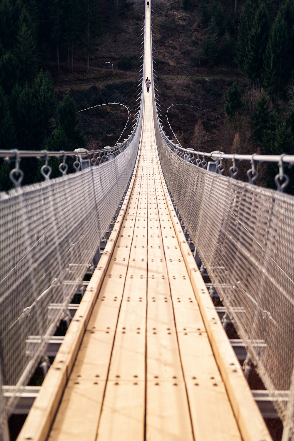 a long suspension bridge