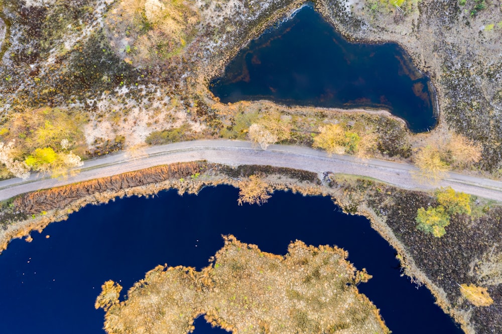 une rivière qui coule à travers une forêt