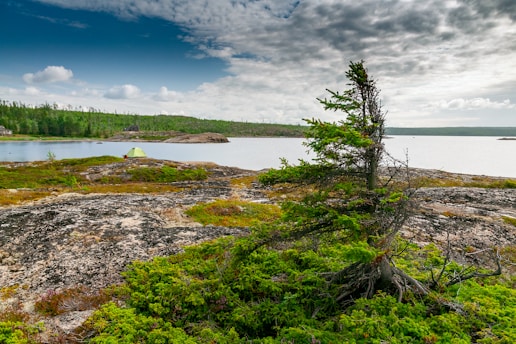 A sturdy military tent pitched beside a serene Scandinavian lake at dawn.
