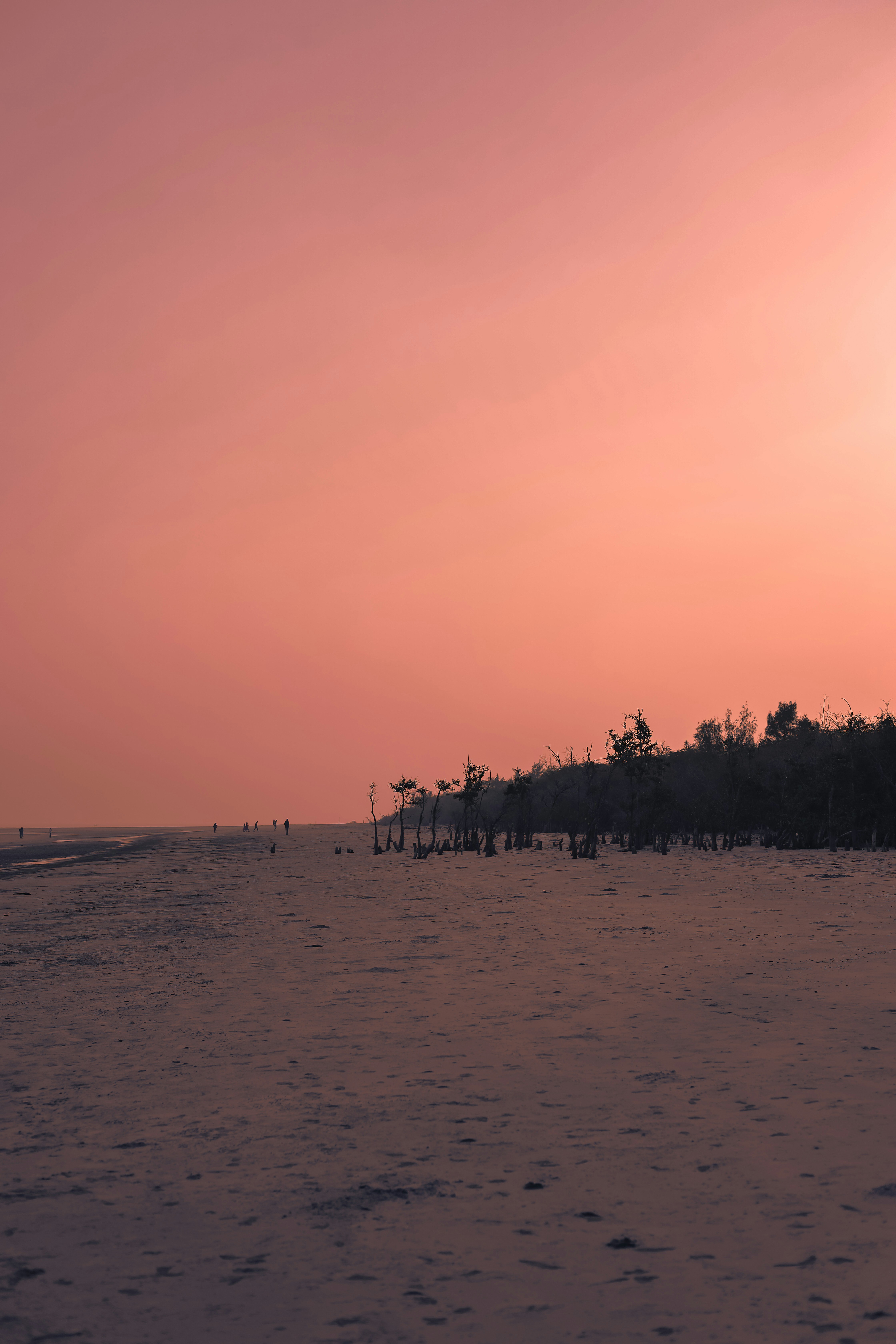 Photo by its_since1997