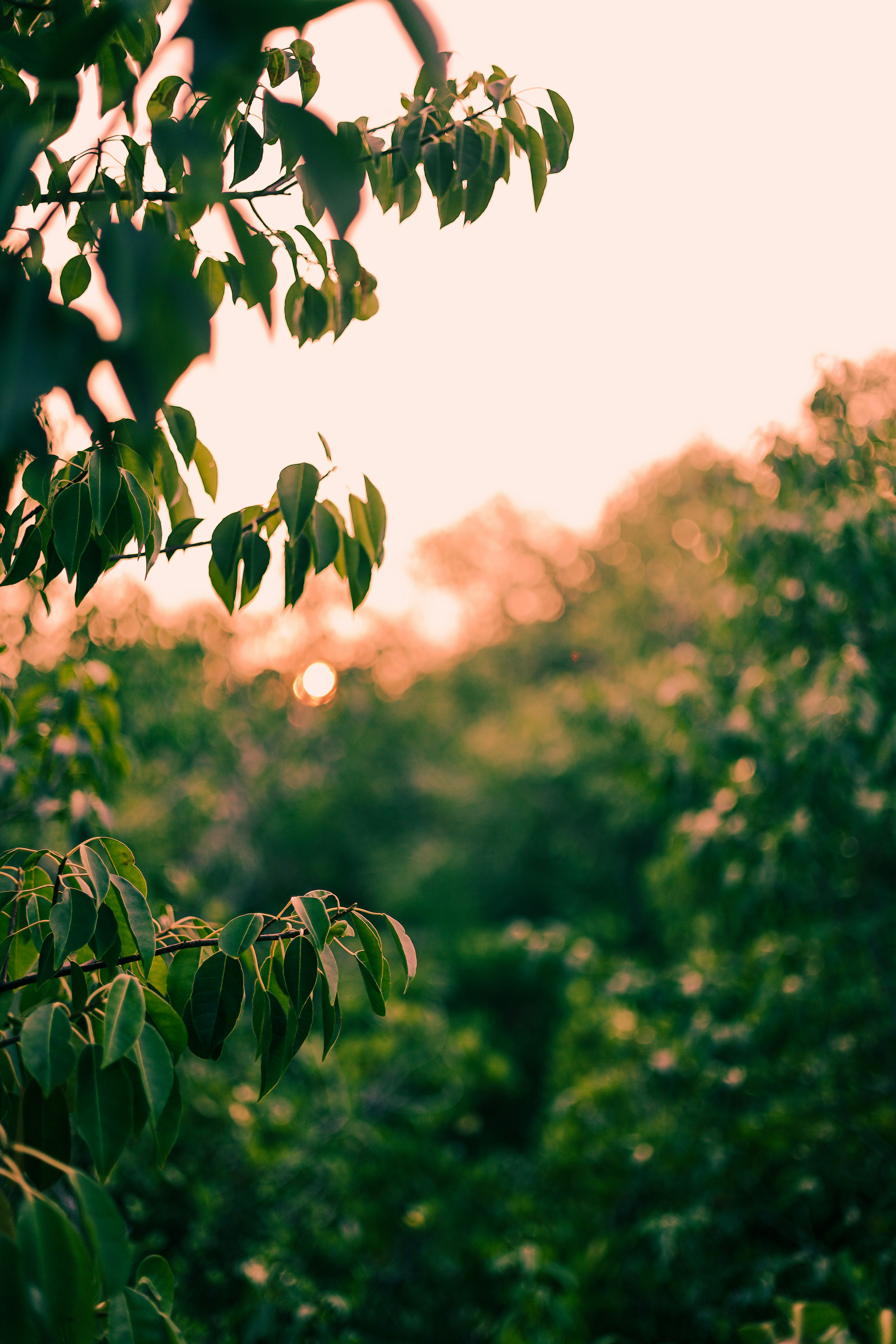 Photo by its_since1997