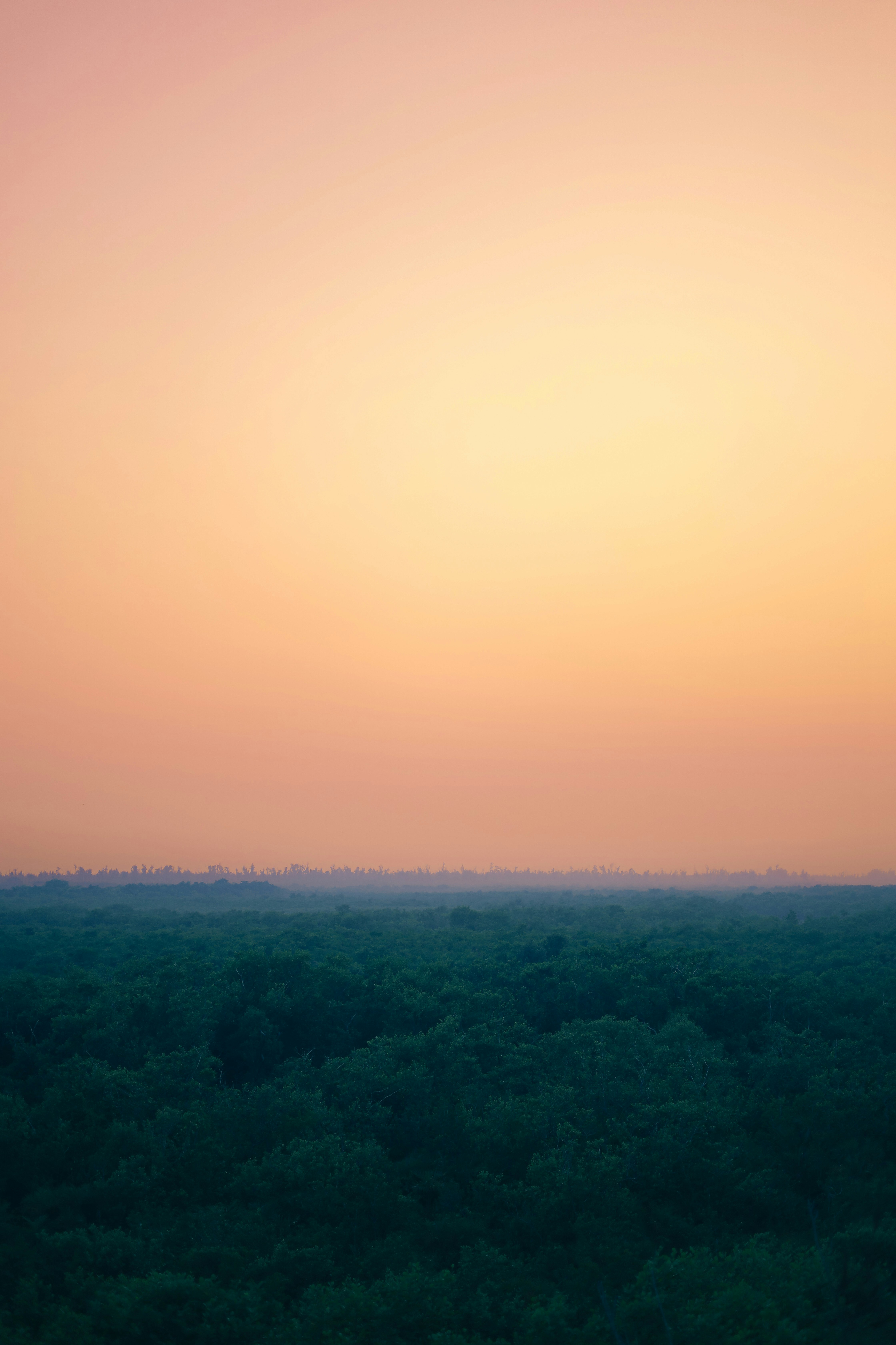 Photo by its_since1997