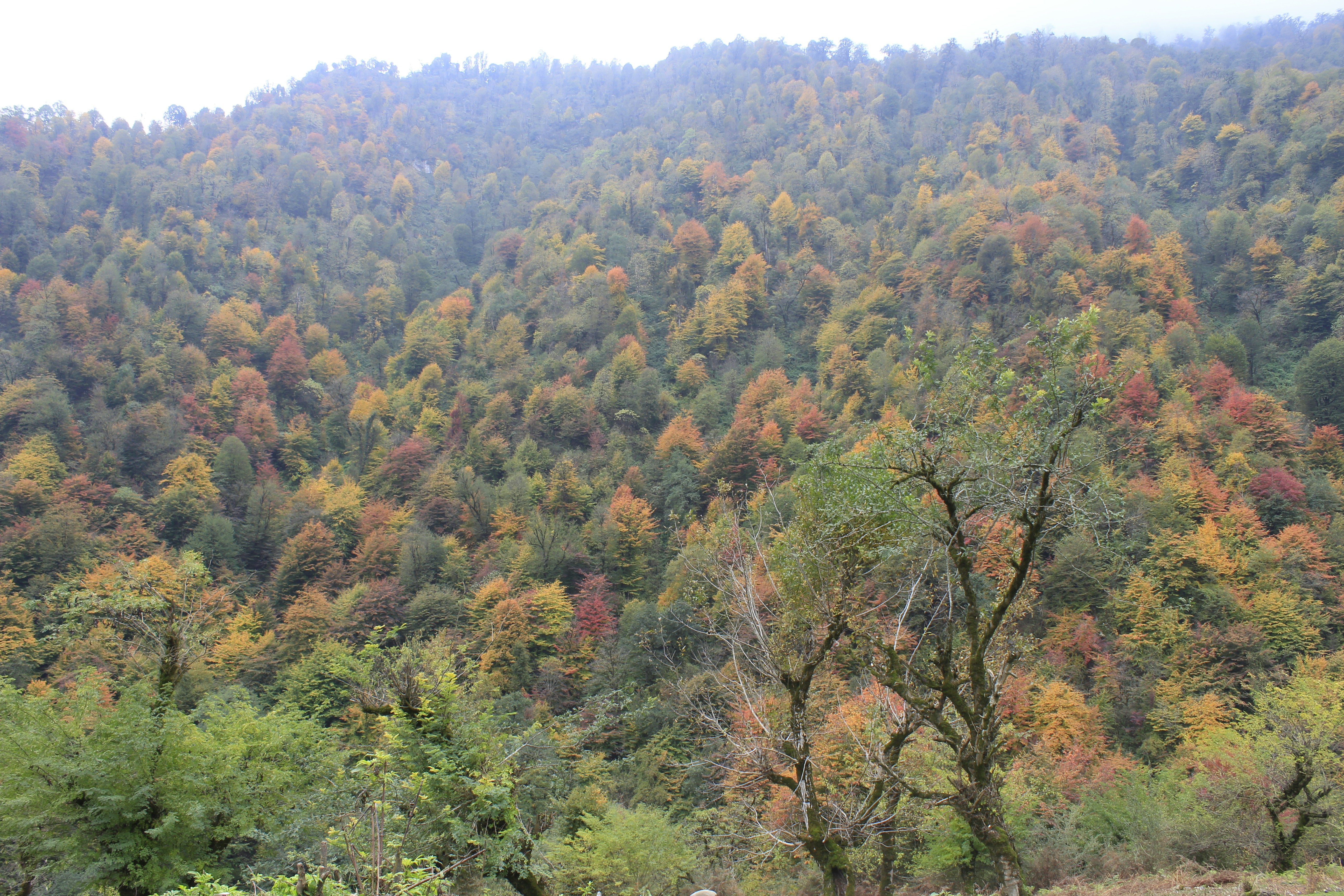 Massal, Gillan, !ran, November 2022