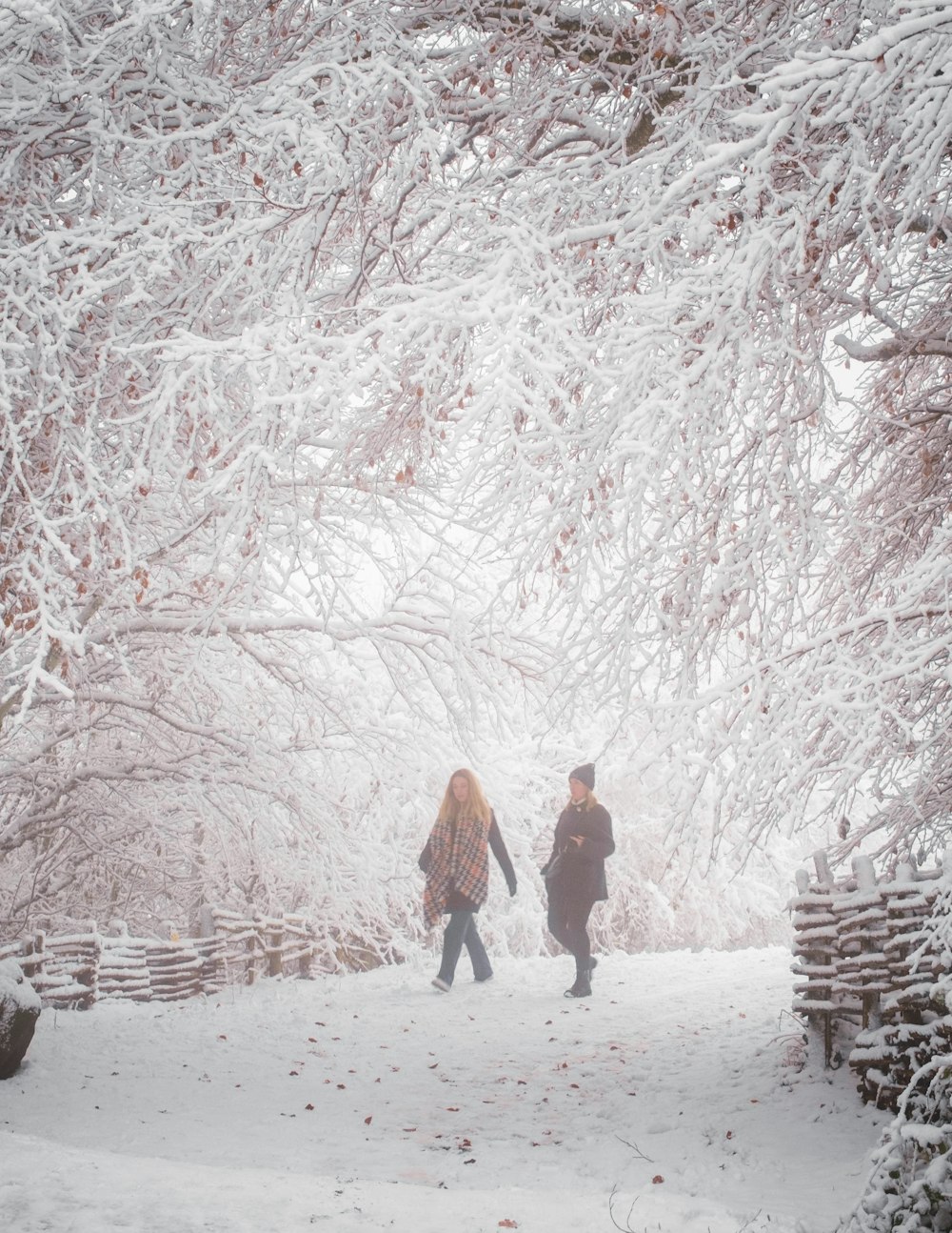 a couple walking in the snow