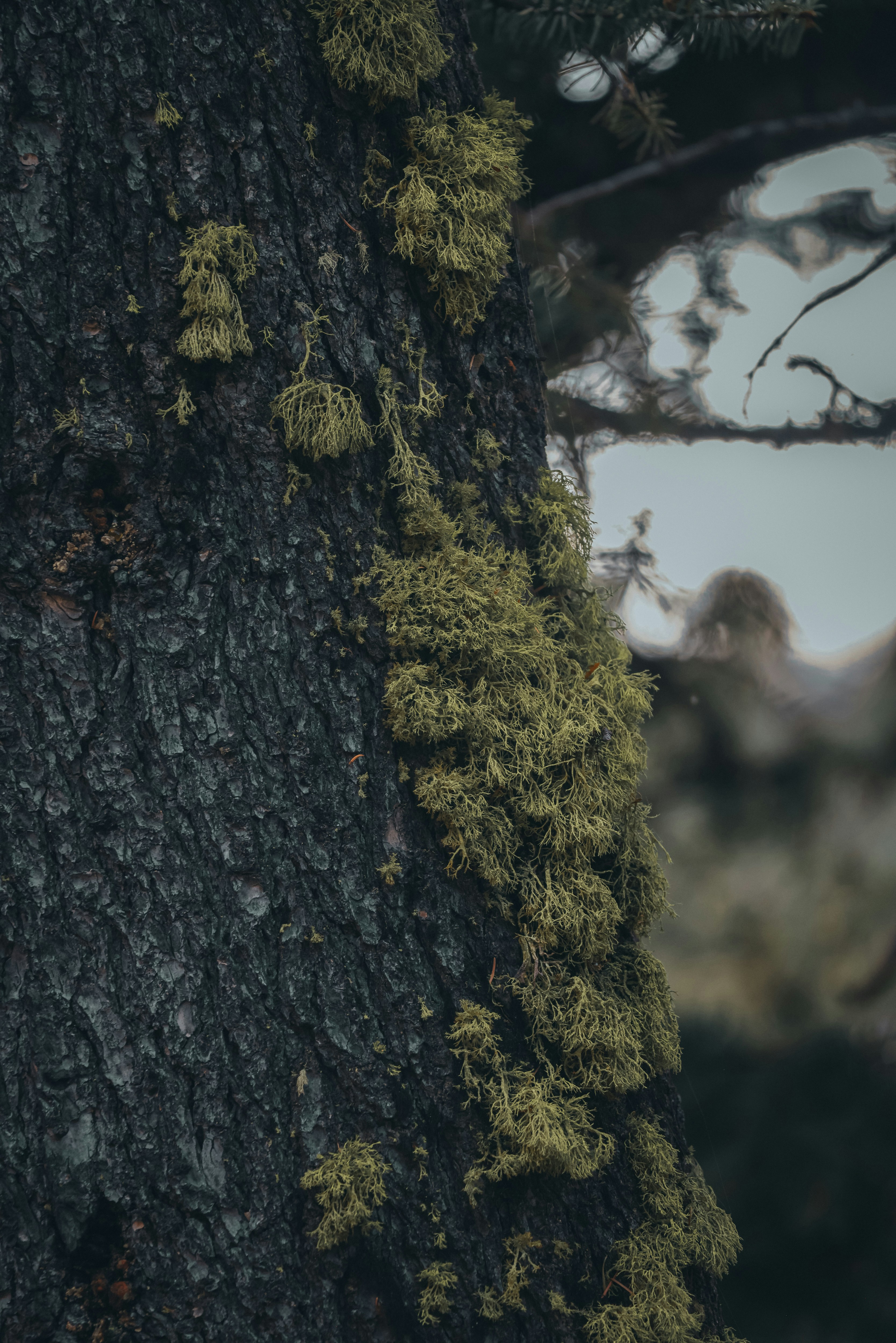 Photo by isaactmitchell