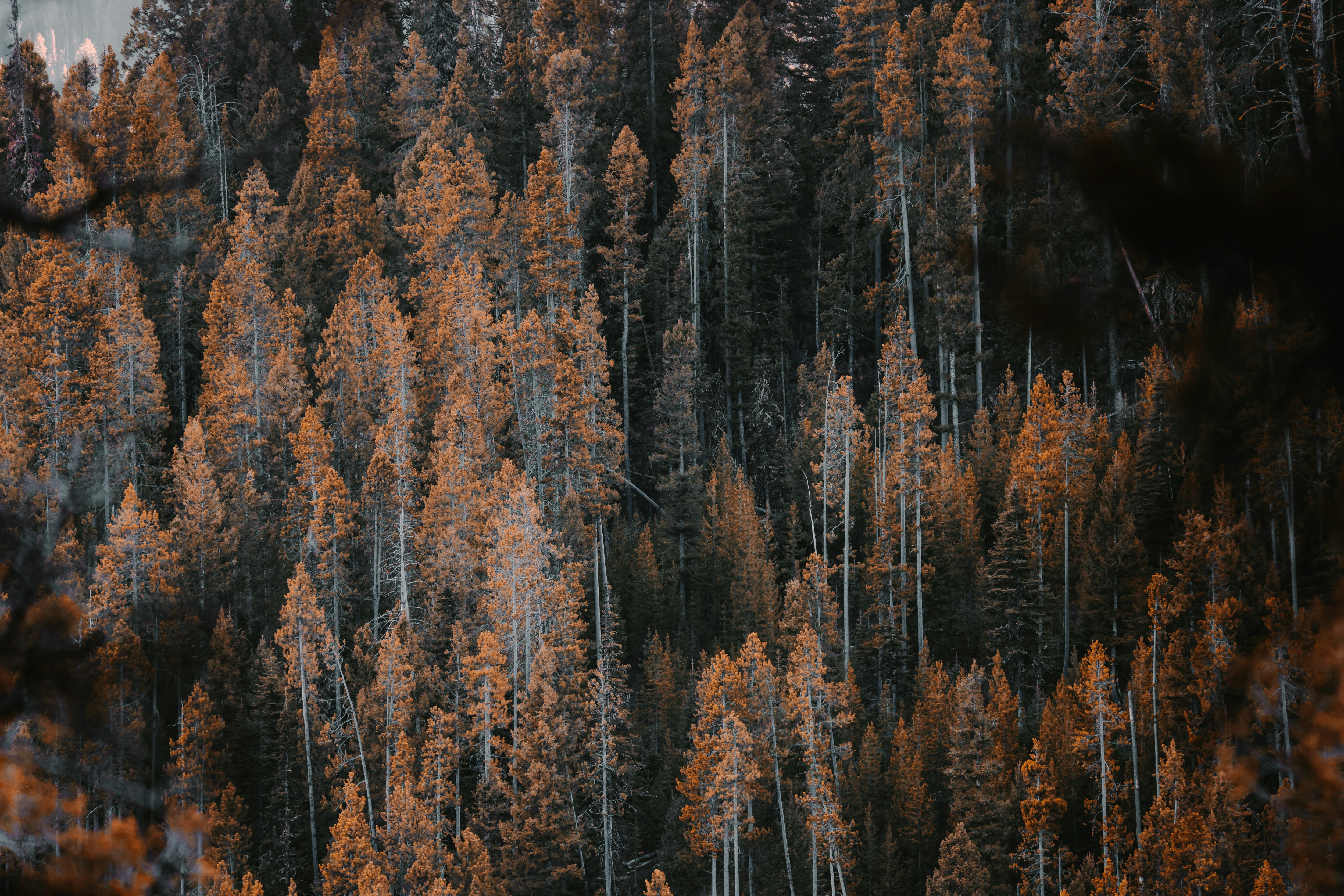 Photo by isaactmitchell