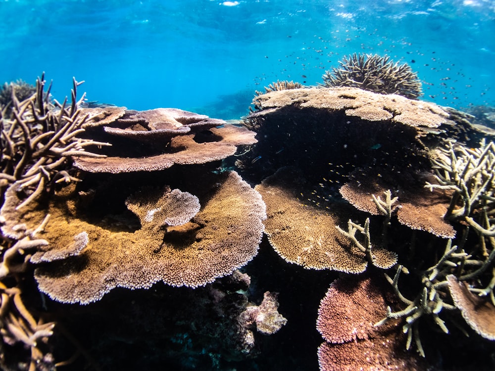 a group of rocks in the water