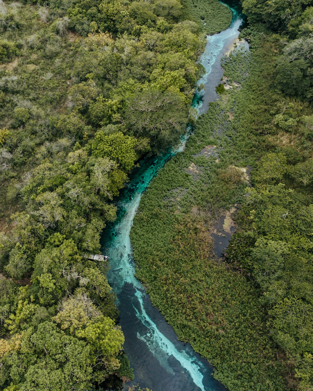 Ein Fluss, der sich durch einen Wald schlängelt