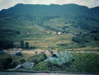 A serene landscape of rice fields with traditional houses.