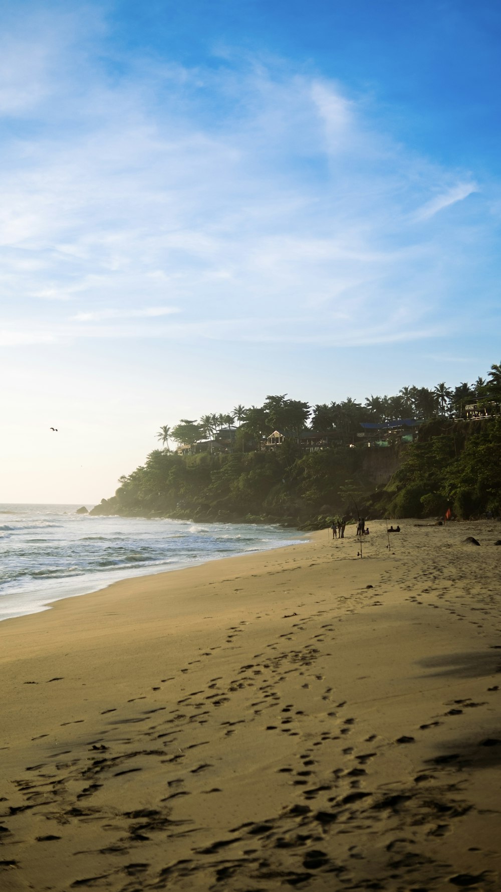 a beach with trees and a hill in the background