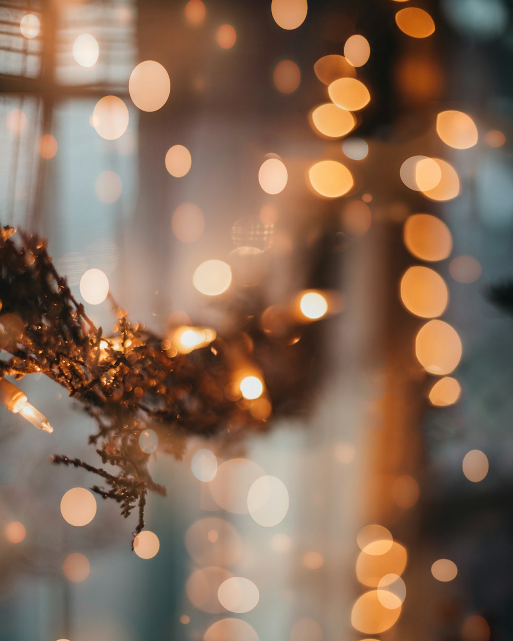 Un primo piano di un ramo di un albero