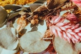Close-up of natural herbs and flowers arranged on a wooden surface.