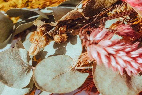 Close-up of natural botanical ingredients like leaves and flowers arranged on a soft beige fabric.