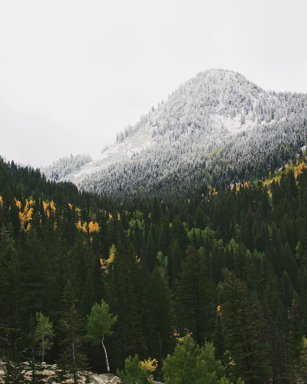 a mountain covered in snow