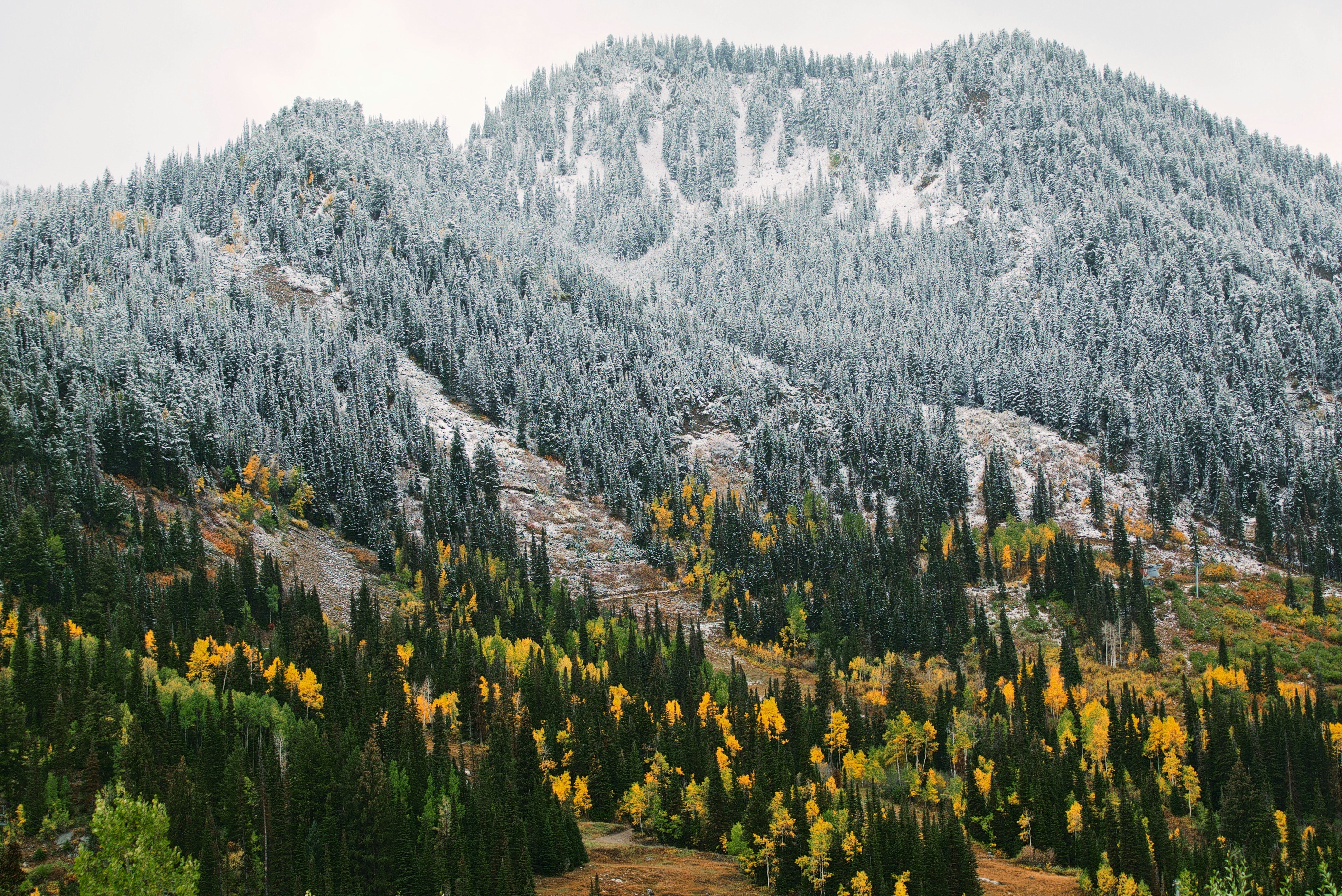 Photo by andrewmeehan