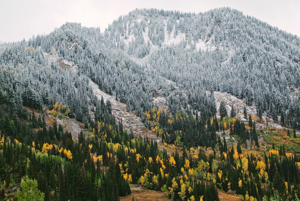 a mountain covered in snow