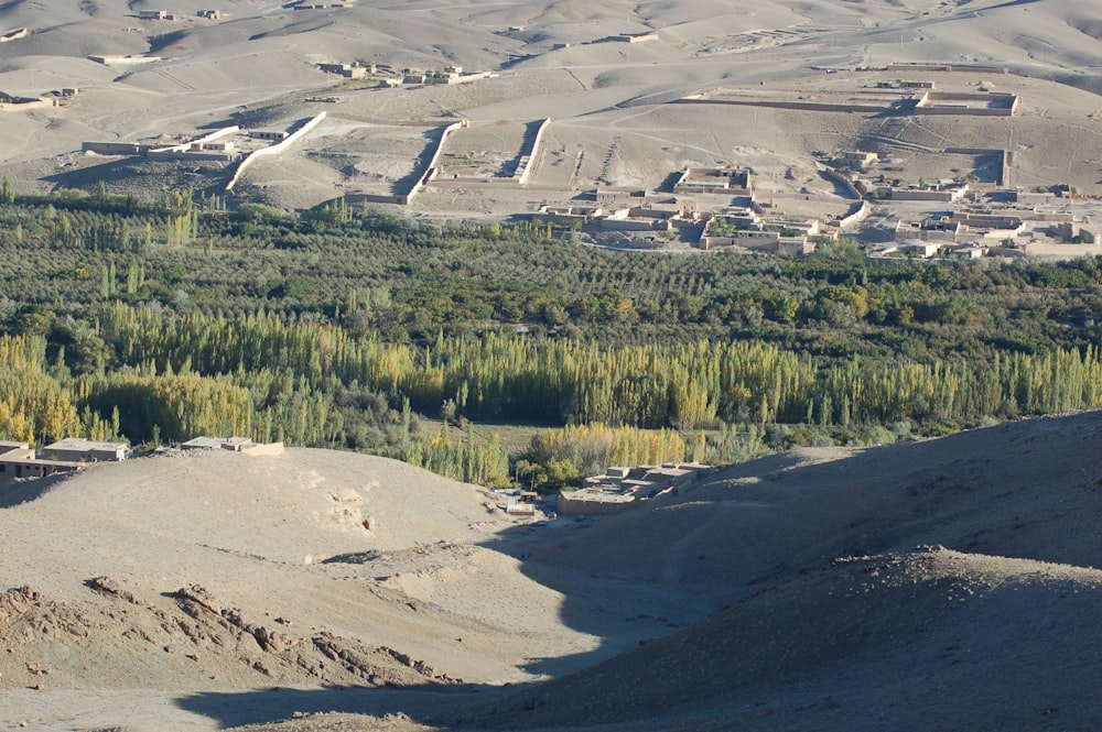 a landscape with a road and trees