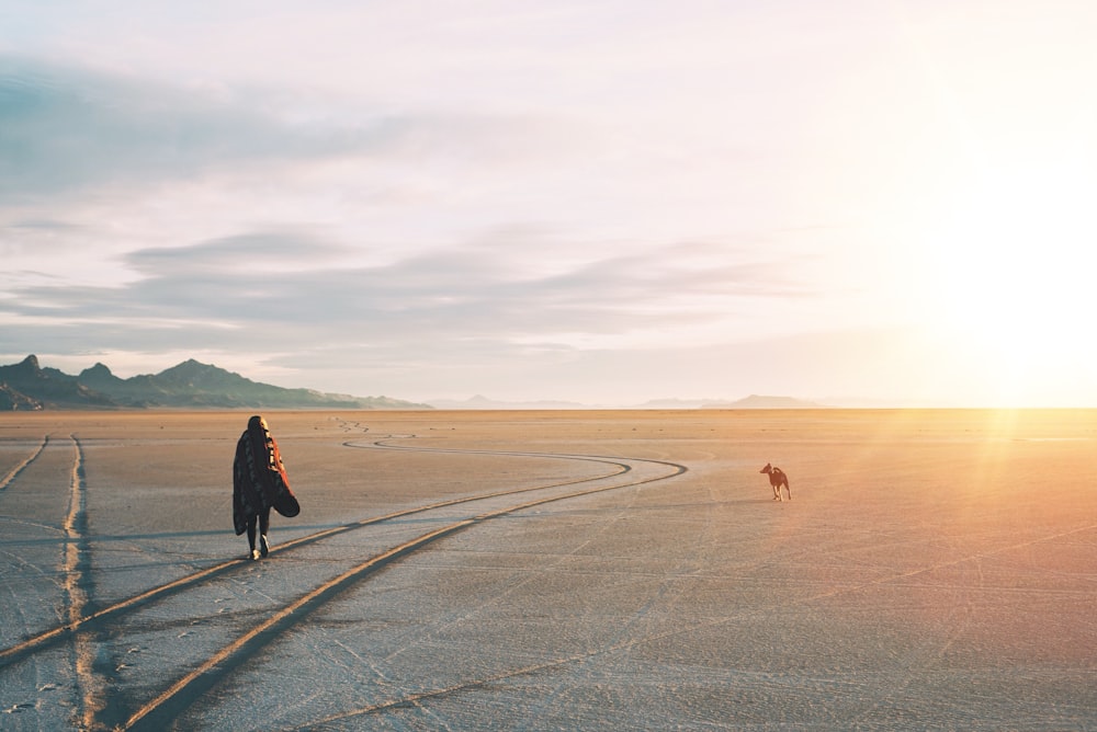 Una persona che cammina un cane su una strada nel deserto