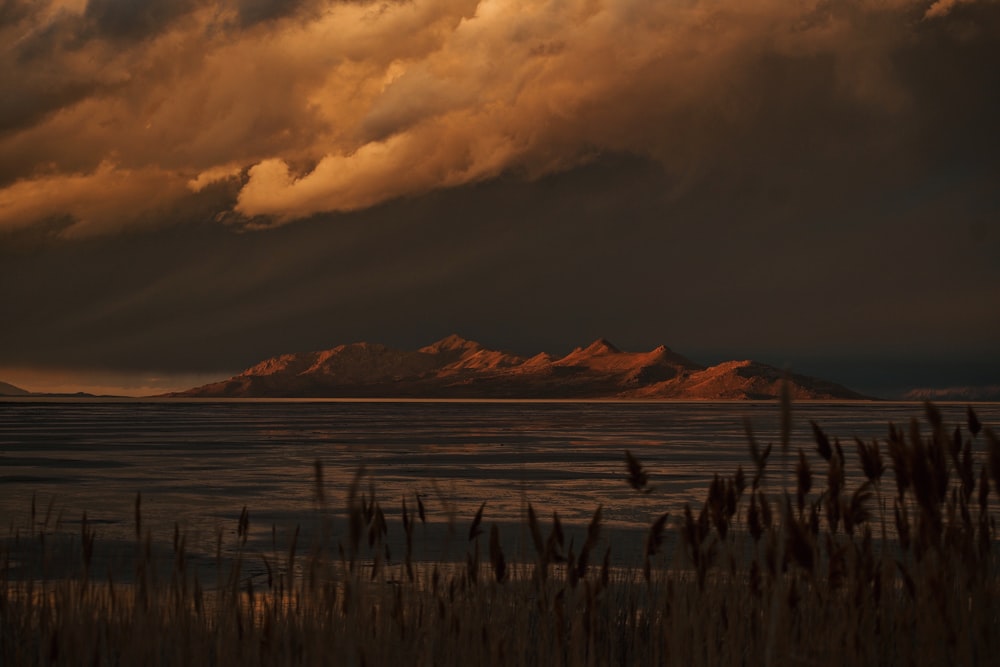 a snowy field with mountains in the background