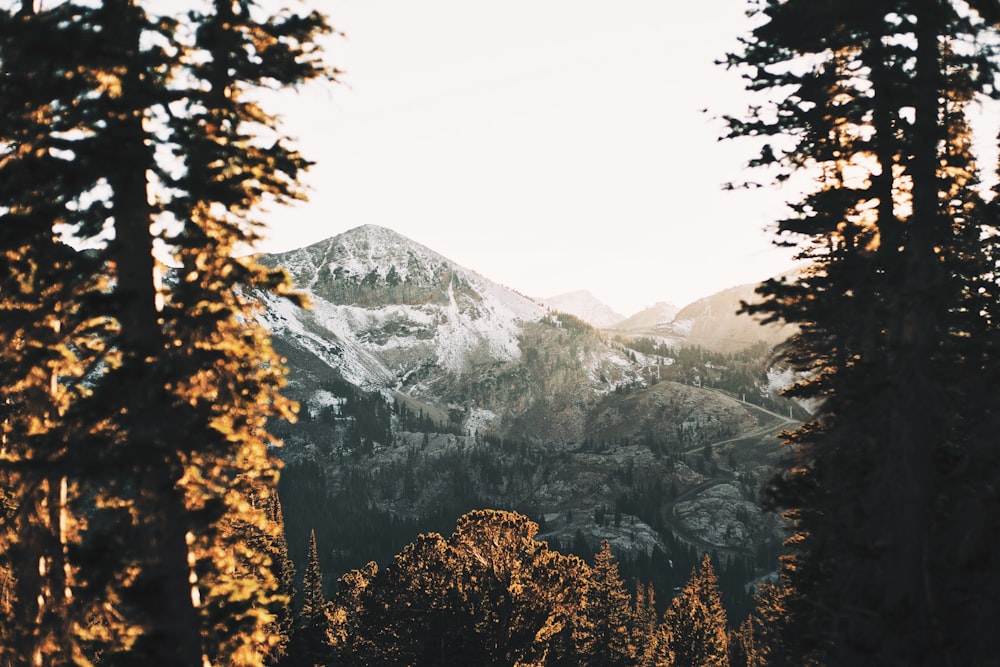 a snowy mountain range