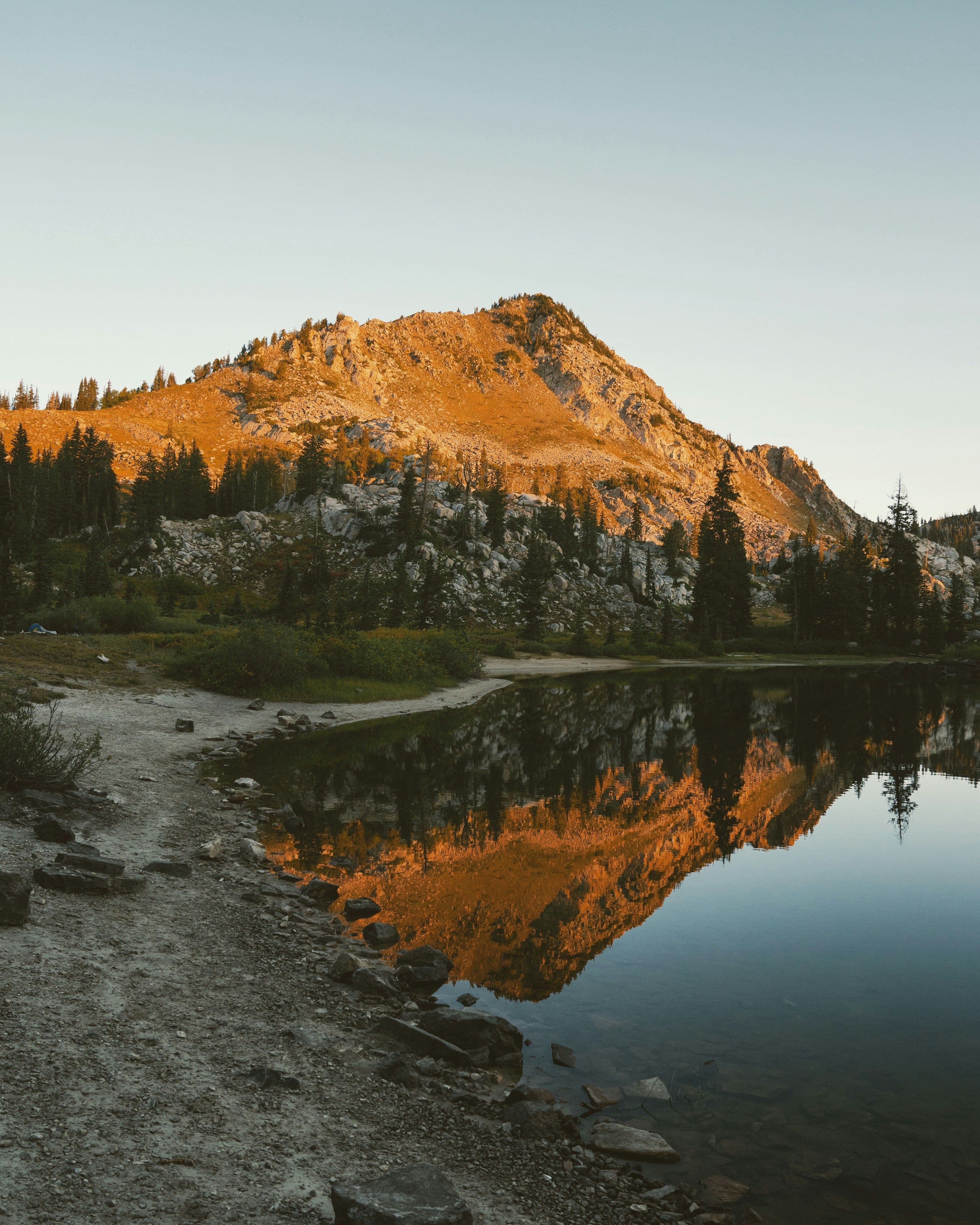 Photo by andrewmeehan