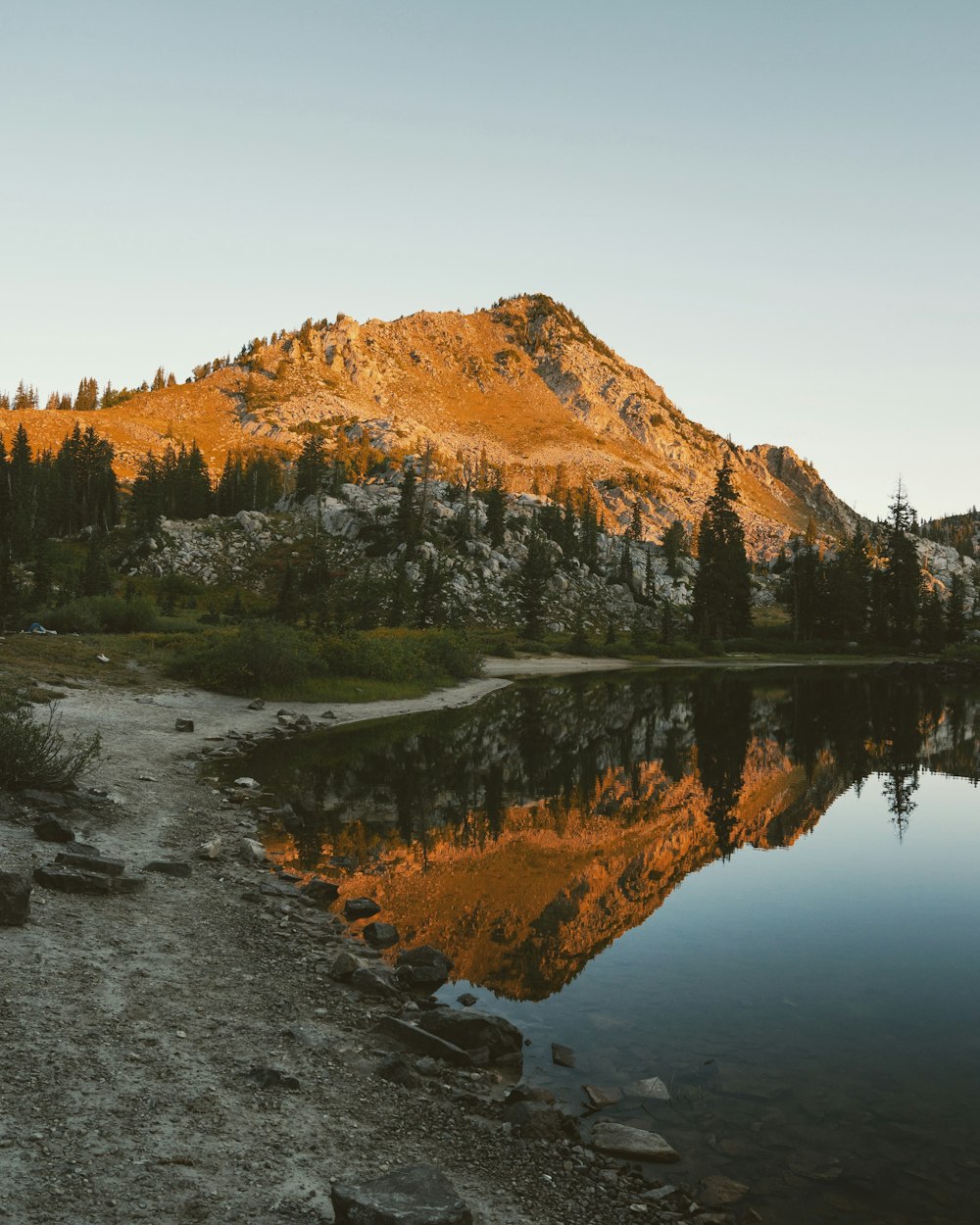 a mountain with trees and a body of water in front of it