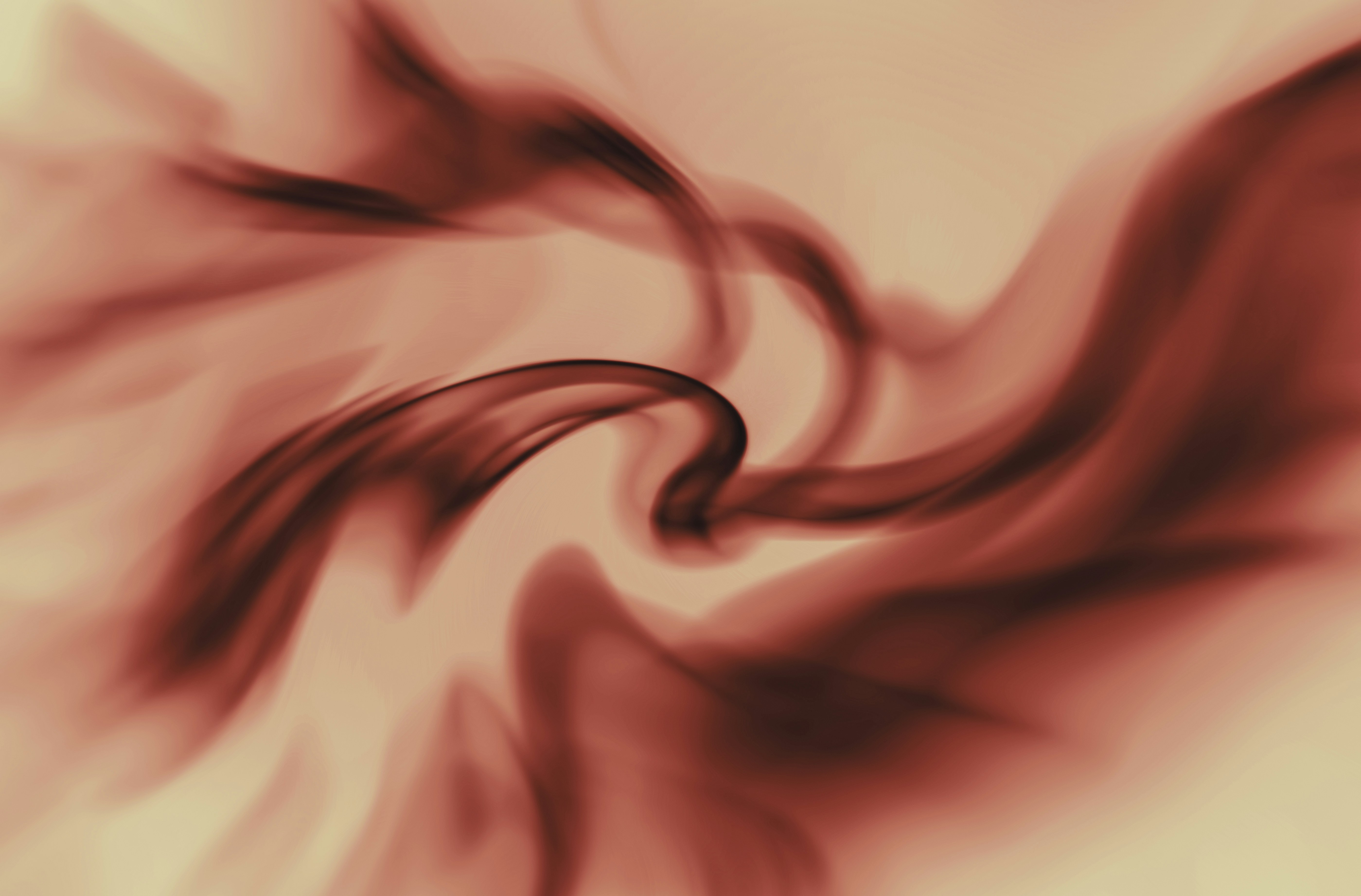 a close-up of a hand