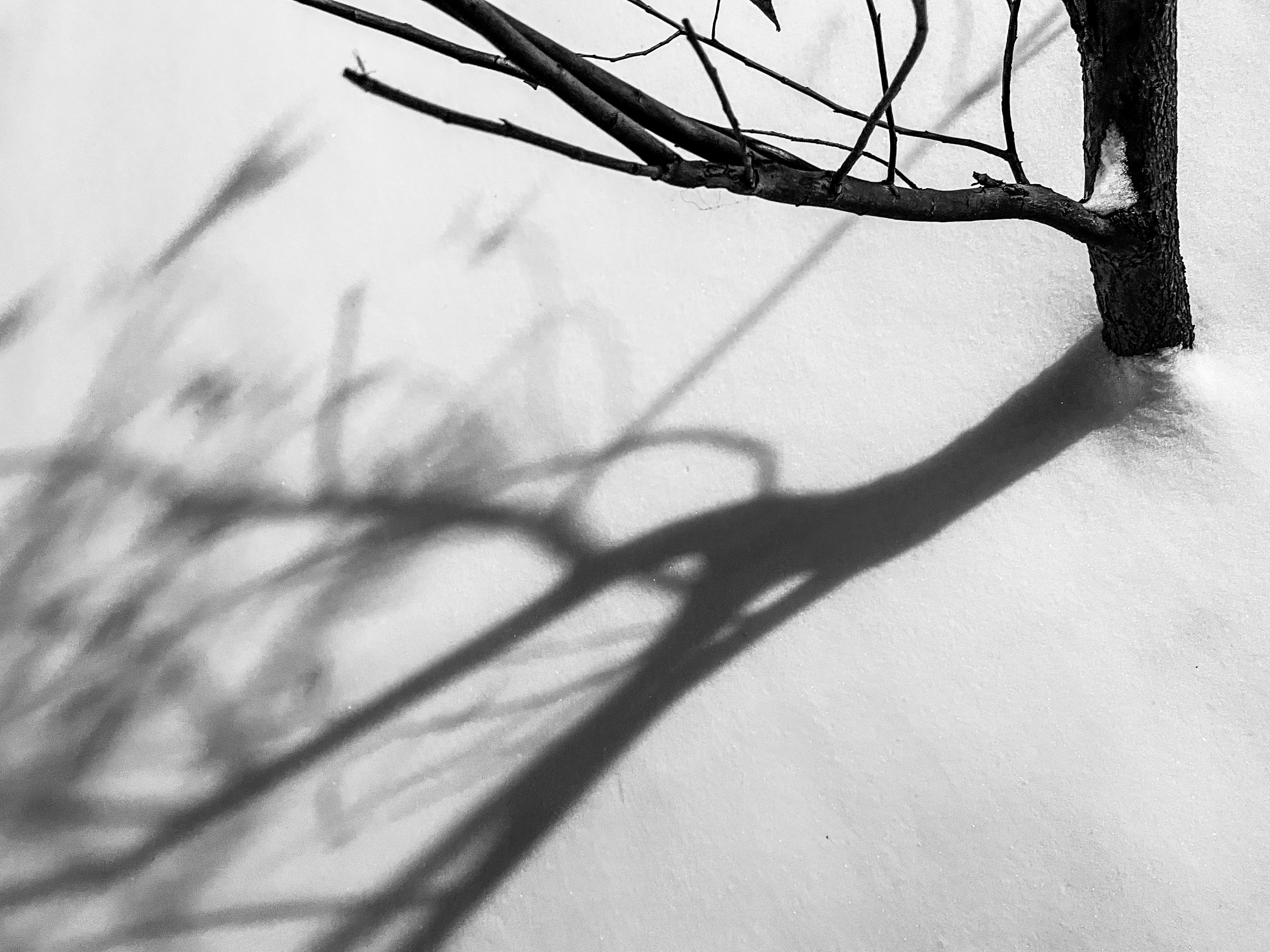 Photo by tashakostyuk