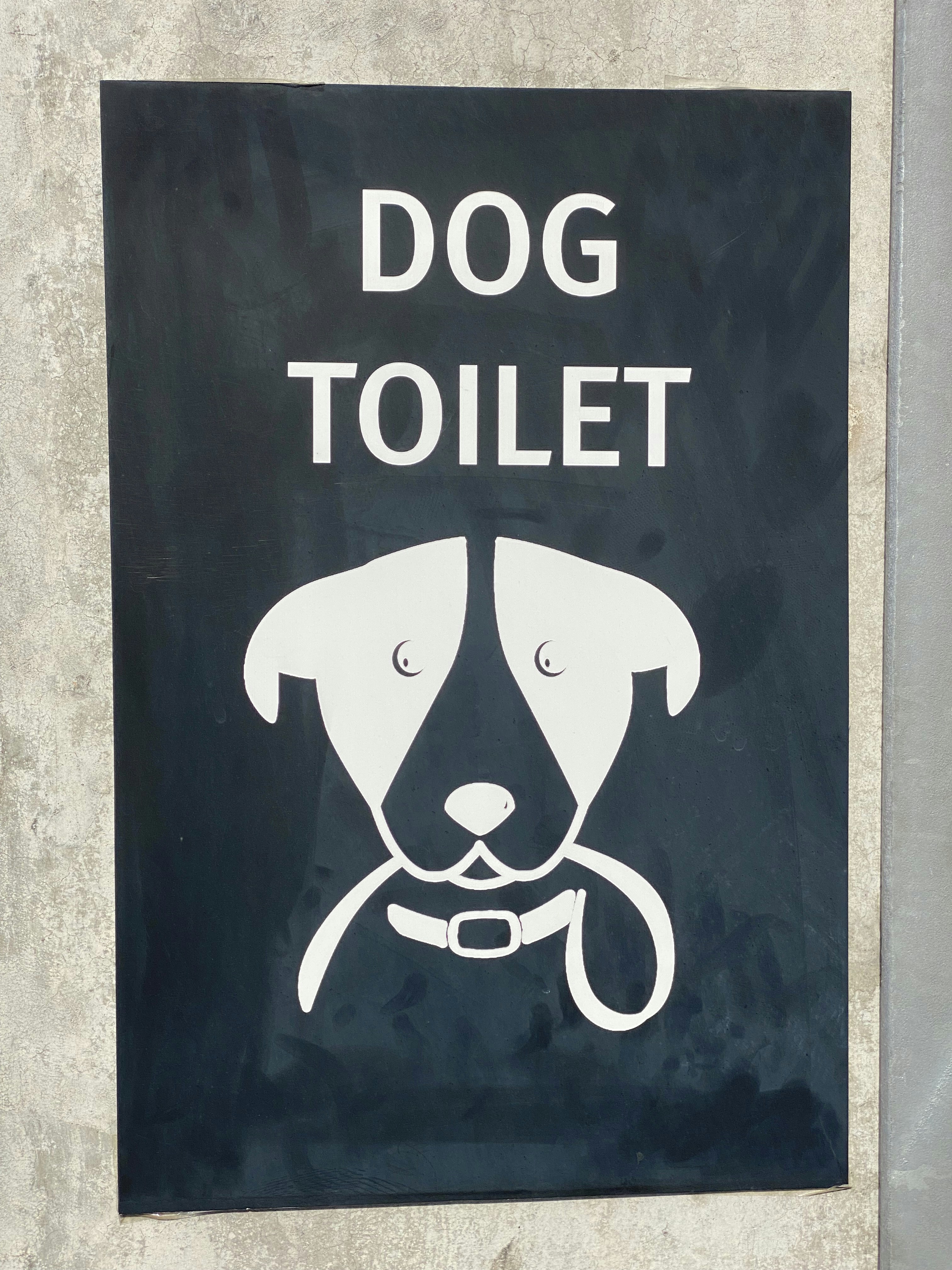 Köpeğimi Dışarda Tuvalete Nasıl Alıştırırım?