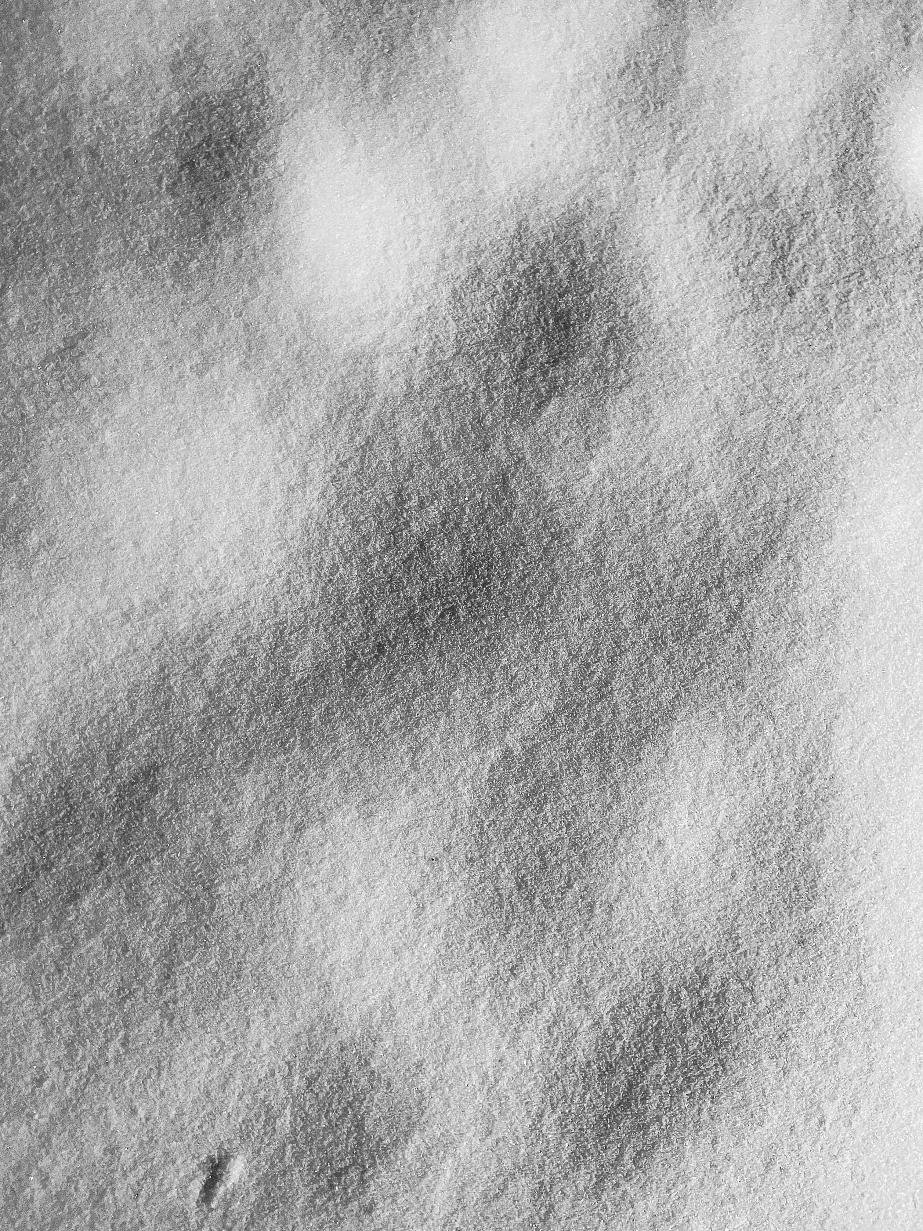 Photo by tashakostyuk